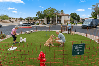 Dog park